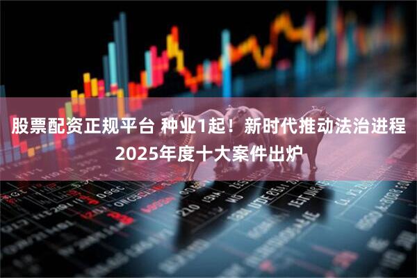 股票配资正规平台 种业1起！新时代推动法治进程2025年度十大案件出炉
