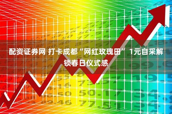 配资证券网 打卡成都“网红玫瑰田” 1元自采解锁春日仪式感